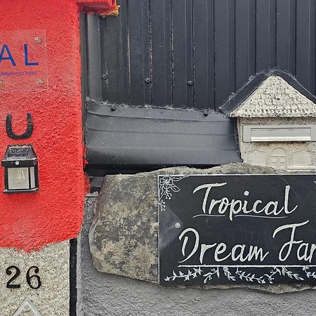 Hotel Tropical Dream Farm Vouzela Exterior foto